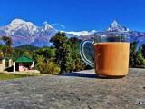 Nepalese tea.jpg