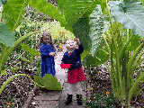Children in Manured Garden.gif